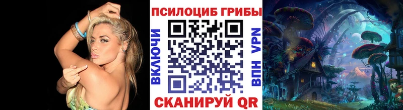 Псилоцибиновые грибы мицелий  Новодвинск 