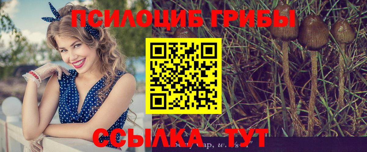 Новодвинск  Галлюциногенные грибы Magic Shrooms  магазин    Вход с VPN 