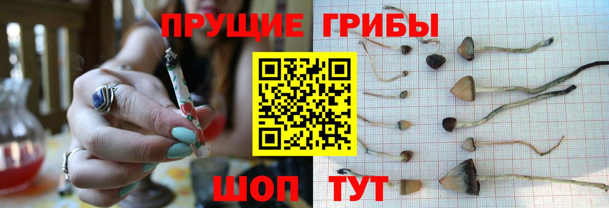 Новодвинск  COCAIN  ГАШИШ  МЕФ кристаллы  А ПВП СОЛЬ   Лсд 25  Гашиш  Вход с VPN  Каннабис 
