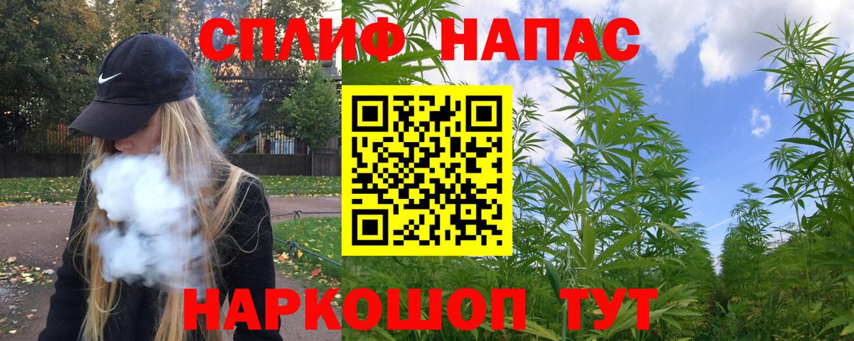 Шишки марихуана семена Новодвинск